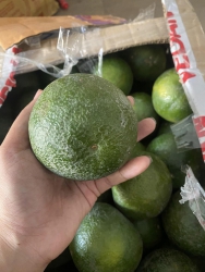 Cam phục vụ mấy c giải nhiệt ngày nắng tại Quảng Nam