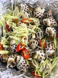 n ốc hương TO chín hấp sả tại Quảng Nam
