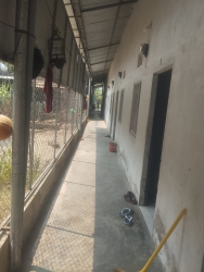 Chính chủ cần bán đất sổ đỏ diện tích 100m2 tại Quảng Nam