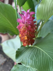 n nhà phố mới xây TP HCM tại Quảng Nam