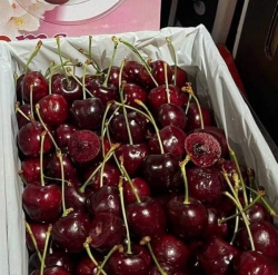 ch gộp đơn nhìu món mai e giao lun nha tại Quảng Nam