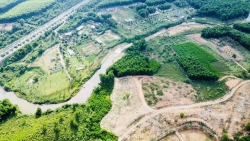 Cần bán 3900m đất trồng cây sát sườn tại Hoà Ninh tại Quảng Nam