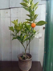 ng Gần nhiều tiện ích xung tại Quảng Nam