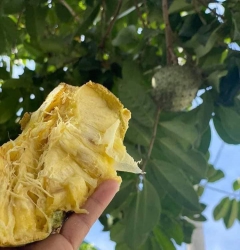 tại Quảng Nam