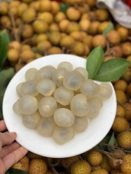 i ngọt lịm tại Quảng Nam