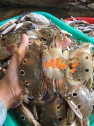 Chốt đơn cuối tuần Mai em ship nghe. Hàng ni lâu lâu em mới đi 1 bữa tại Quảng Nam
