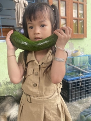 Loa loa cực phẩm đã dề, bơ 034 dòng bơ thương hiệu ngon nhất tại Quảng Nam