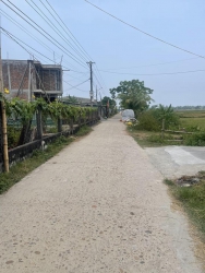 Cần tiền bán đất đường Liên Thôn 4m Bình Phục - Thăng Bình - Quảng Nam tại Quảng Nam