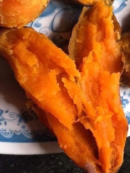 Bán Gà Tre, Cải Muối Dưa, Cà Ngọt tại Quảng Nam