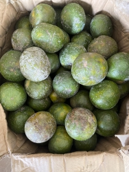  tại Quảng Nam