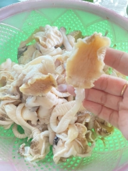 Gỏi cá nhà Bé Oanh rau rừng đầy đủ tại Quảng Nam