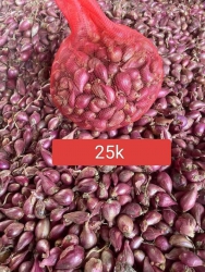 Bán các loại trái cây và sản phẩm địa phương tại Sơn Củ, Hà Giang tại Quảng Nam