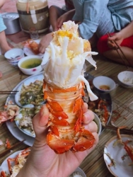 Đôi khi, tôi quay lại để thưởng thức tôm hùm. tại Quảng Nam