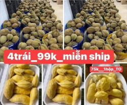  sốc tại Quảng Nam