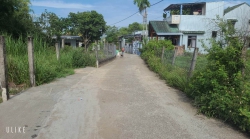 Hương thơm của hoa khổng lồ tại Quảng Nam