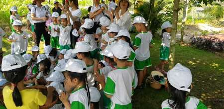 Tuyển giáo viên mầm non  tại Quảng Nam