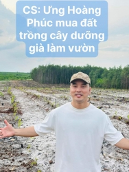 Cơ hội đầu tư đất trồng cây giá rẻ tại Hội An tại Quảng Nam