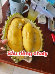 Trùng Tây Cuối Tuần - Món ngon tại Quảng Nam