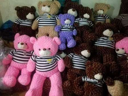 Gấu teddy tại Quảng Nam