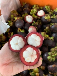 Bài viết mời khách mua sản phẩm đặc biệt tại Quảng Nam