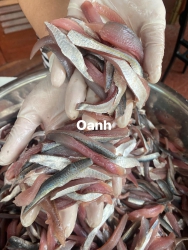  tại Quảng Nam