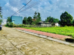 p Đà Nẵng để thu hồi vốn tại Quảng Nam