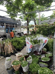  tại Quảng Nam