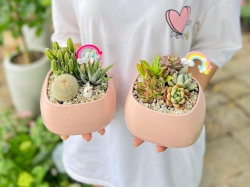 Vườn Cây Xanh 79GARDEN - Công Ty Thiết Kế Đầu Tư Xây Dựng 79DESIGN tại Quảng Nam