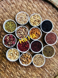 Quảng cáo: Không có 100 quảng cáo bằng một sự hài lòng, không có 1000 lần bằng một trải nghiệm tại Quảng Nam