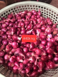 Mai nghe nói mưa lớn e về sơ sơ tại Quảng Nam