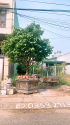 Đất Mặt Tiền đường Lê Phụ Trần - KDC Tứ Hiệp, P. An Mỹ- Tp. Tam Kỳ tại Quảng Nam