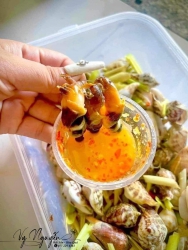 Ốc nhảy sống tại Quảng Nam