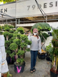 Hàng về sáng nay rất nhiều tại Quảng Nam