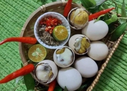n Trứng Gà Thả Vườn tại Quảng Nam