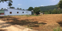 Ông chú nợ ngân hàng cần bán nhanh lô đất thổ cư 1000m2 với giá chỉ 1 tỷ tại Quảng Nam