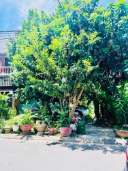 RẺ NHẤT HOÀ XUÂN tại Quảng Nam