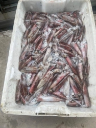 tieu de ne tại Quảng Nam