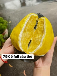 Bánh Crepe Sầu Riêng Full 90% Sầu Tươi tại Quảng Nam