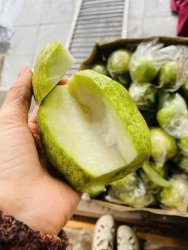 ch nhà em tại Quảng Nam