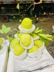 ch gộp đơn nhiều món tại Quảng Nam