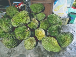  tại Quảng Nam