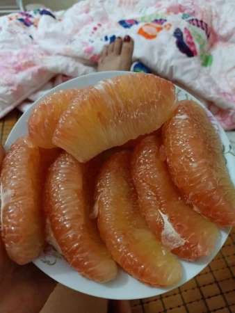 Mai có bưởi da xanh các chi đẹp nha tại Quảng Nam