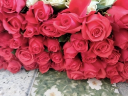 c bạn, Mình có đỏ ớt bao đẹp, 85k một bó lớn 50 bông. Ai cần ib mình nhé! tại Quảng Nam