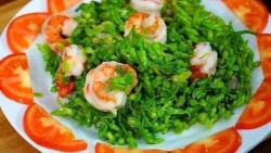 Thiên lí tại Quảng Nam