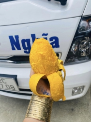 Xoài mút ngon ngọt thơm dã man tại Quảng Nam