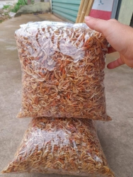 Tép đồng phơi khô tại Quảng Nam