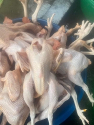 Chăn ga gối kiểu kiến tại Quảng Nam