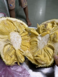 Ngày mai em có 2 trái mít ướt nhà - 15k/kg tại Quảng Nam