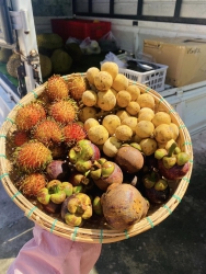 Combo Món Ăn yêu thích tại Quảng Nam