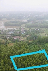 t quốc lộ 1A tại Quảng Nam
